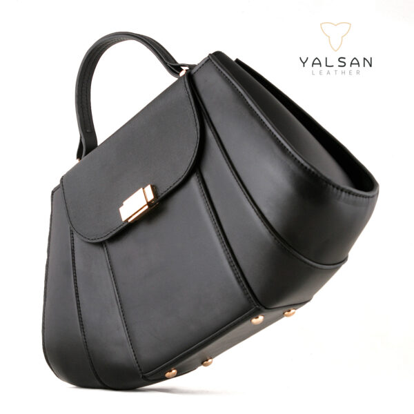 ست کیف و کفش زنانه مدل آرمینا کد 917-ELAROZ-HRM